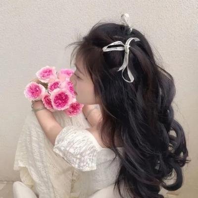 卫星女孩和奶牛