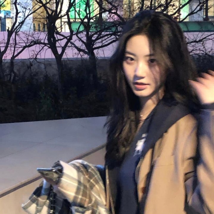 特洛伊艾迪